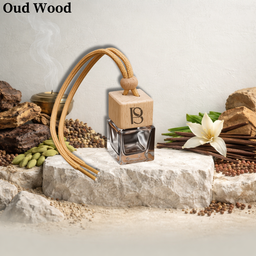 Oud Wood - Diffuseur parfumé premium pour voiture